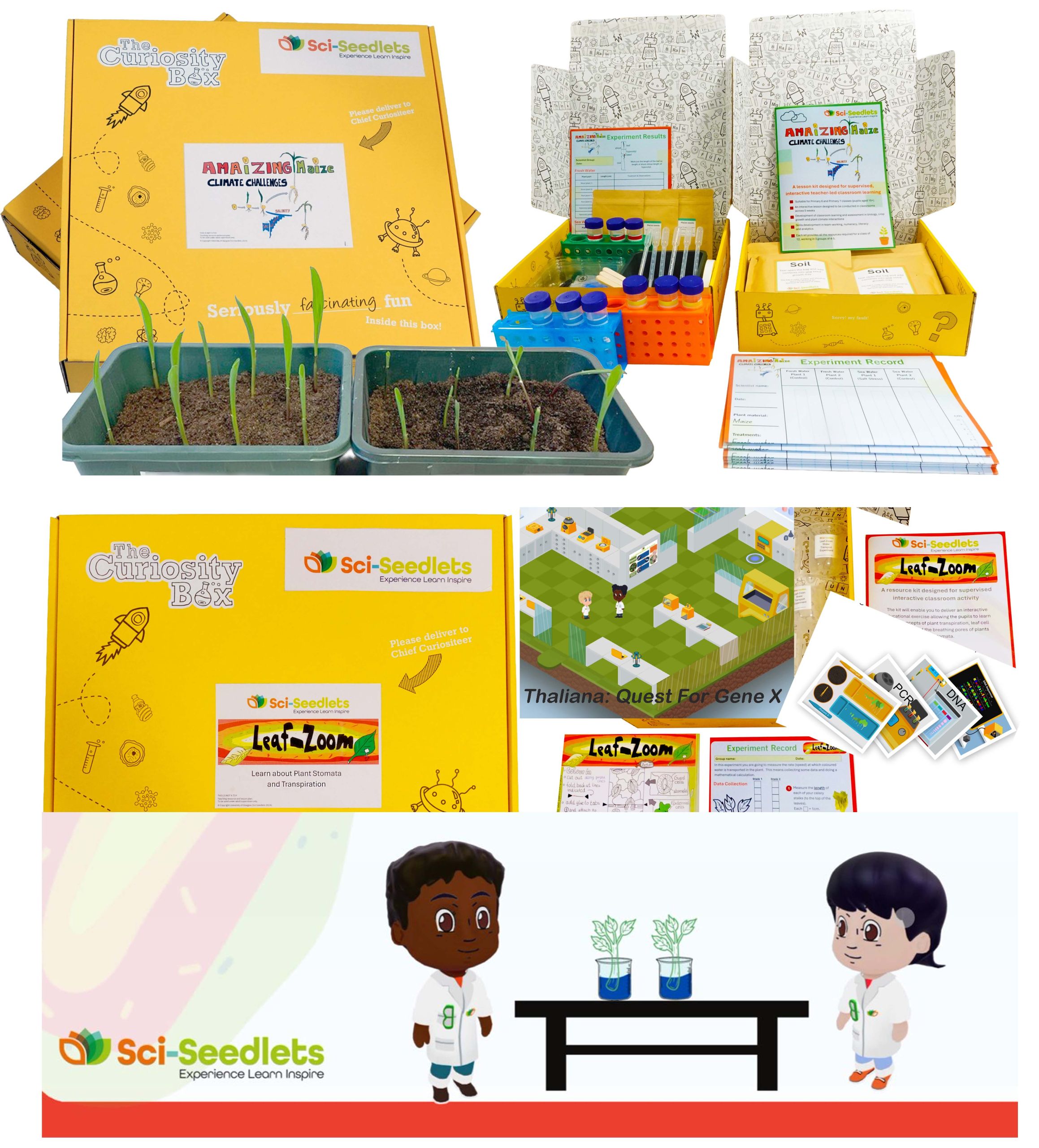 Sci-Seedlets Kits Photo
